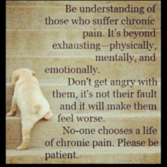 🪻Luminary Lanterns MODGY Magnolia LandScape NIB - Picture 15 of 15